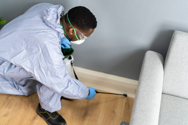 Professional Pest Control in Panacea, FL